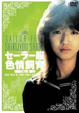 院线热映：借来的夏天 青春剧情电影海报